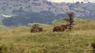 BBC Earth - Africa E06-The Future