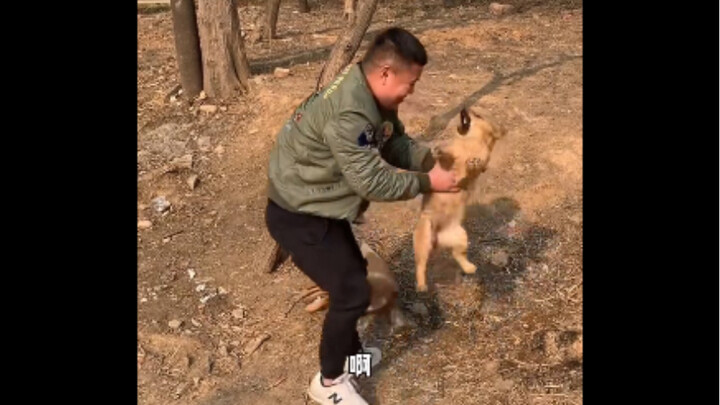 Momen Lucu Saat Hewan Keburu Terkejut!