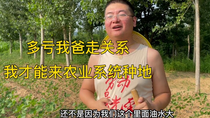 Nhờ bố tôi dùng quan hệ, tôi mới thuận lợi vào hệ thống nông nghiệp để làm ruộng.