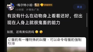 有什么能力在动物身上看着合理，但出现在人身上就很鬼畜