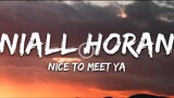 TITLE: Nice To Meet Ya/By Niall Horan/MV Lyrics HD
