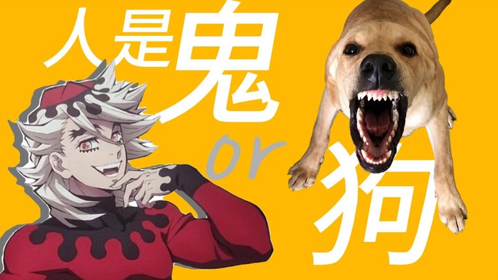 Is he a dog or a ghost?!