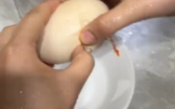 Pernah lihat telur seperti ini? Di dalam satu butir telur 🥚, ternyata ada satu butir telur 🥚 lagi!