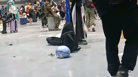 鲨鲨也想加入猎龙