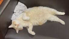 Omg I want to take her home she so cute🥰