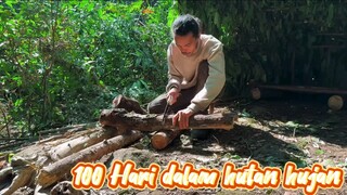 Seni Bertahan di Hutan Hujan Selama 100 Hari
