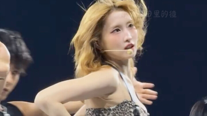 Strongly recommend that all boy groups make a comeback and team up with Momo-chan!