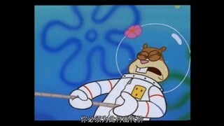 珊迪简直就是四爱男的理想型