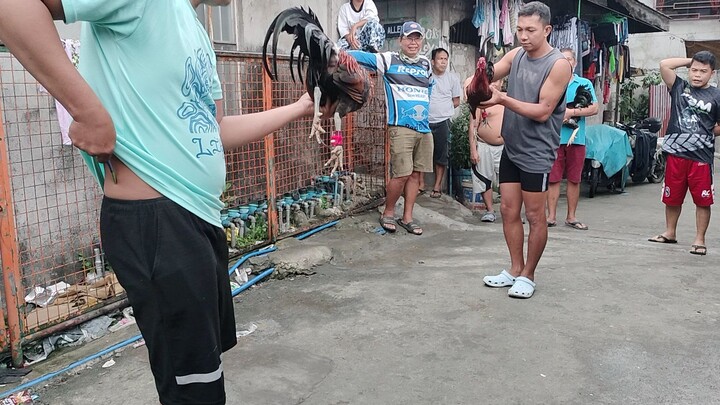 partida kanan tari , isang manok naka 2hits sa isang araw