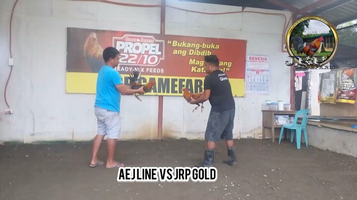 Bullstag! AEJ GF line, JM Fantastic line, MT Banahaw line and JRP lines!