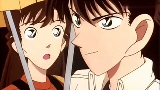 Gadis seperti bidadari, kenapa menurutmu dia tidak layak untuk Kudo Shinichi?