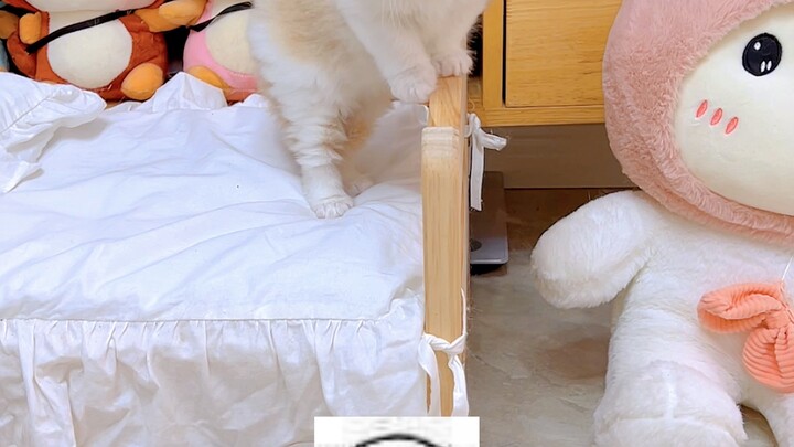 You chose this name yourself, so don’t blame me when you’re older!