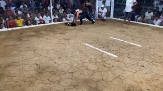 3rd fight L0SS 3stag special qourom 55k pot money Entry name TiGRE Ng DAVAO