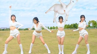 这个是我没付费能观看的吗？！【羊超越】
