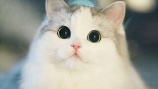 这才是锰男该看的视频！