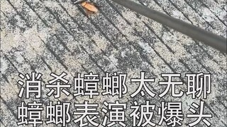 上门消杀，最无聊的就是杀蟑螂了！