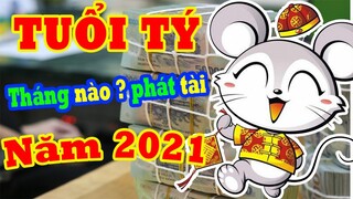 Xem Tử Vi Tuổi Tý 6 Tháng Đầu Năm 2021 Về Công Danh Sự Nghiệp, Tình Duyên Đầy Đủ Và Chính Xác Nhất