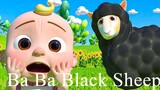 Baa Baa Black Sheep  More Nursery Rhymes  Kids Songs  CoComelon_480
