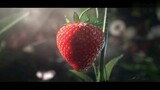 Is this how a strawberry grow?