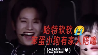 【Wang Zihao & Trix】The teacher is here, the stupid puppy is laughing happily