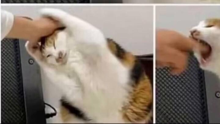 "Bố mẹ: Con đang làm gì mà lén lút trong phòng thế? Con: Chỉ lén lút thôi."