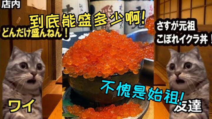 [Subtitled] The Story of Eating Ancestral Caviar Rice Bowl in Hokkaido | Cat Meme | Junda Meng