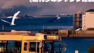 灌篮高手特别版 ♥️