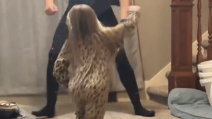 Cha hiền con gái hen suyễn