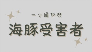 على فيسبوك في الخارج، توجد جمعية لضحايا الدلافين