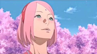 Sakura Haruno / Uchiha | Twixtor Clips | AM | Full HD