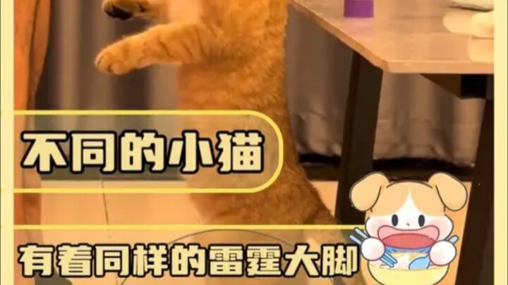 ร่างกายเล็กๆ ทำไมถึงมีเท้าใหญ่ขนาดนั้นได้ล่ะ