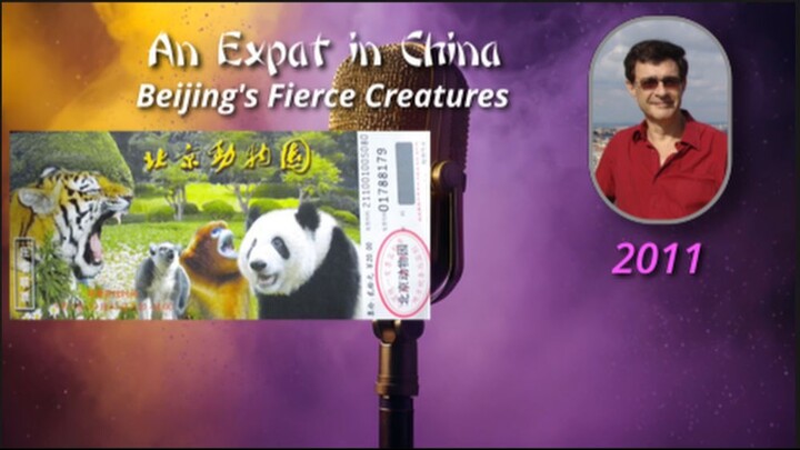 An Expat in China 10 - Beijing's Fierce Creatures
