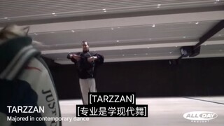 tarzzan跳了芭蕾舞 好软好轻盈
