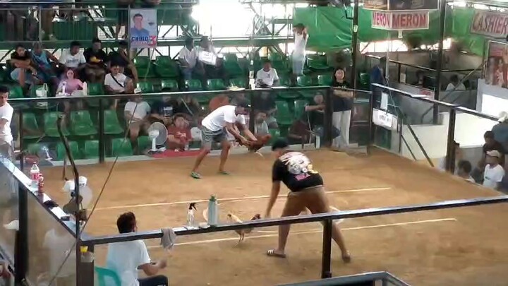 sabong wpc