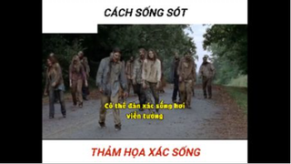 Làm gì khi gặp xác sống 5 #sinhton