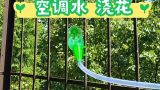 I went to great lengths to avoid watering the flowers. The two devices I designed can be linked toge