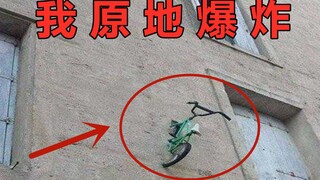 Can we get some real-world bugs?