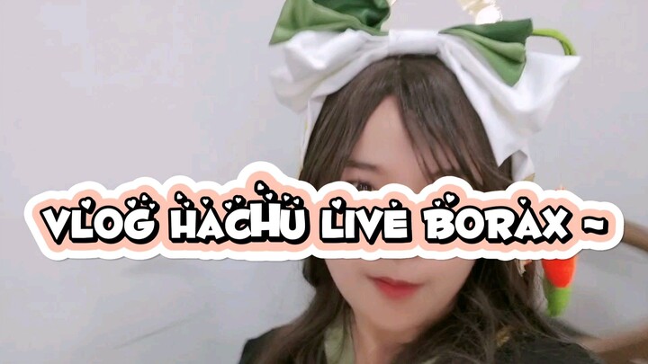 Vlog Hachuuu Cosplay Mobile Legend~