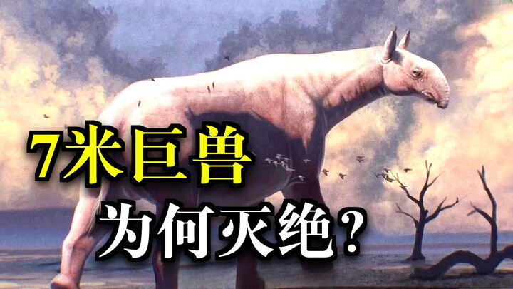 ใหญ่กว่าช้างแอฟริกาถึง 4 เท่า! สัตว์เลี้ยงลูกด้วยนมบนบกที่ใหญ่ที่สุดในประวัติศาสตร์ เดินทีก็ทำให้เนิ