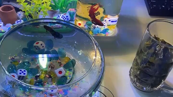 [微笑][玫瑰][咖啡]人生结缘是天意，感恩相遇是福气，长念友谊不放弃，微信天天来相聚，愿我们永远健康快乐，顺心顺意！早上好！[握手][握手][咖啡][咖啡][玫瑰][玫瑰]