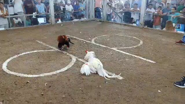 first fight 06-15-24