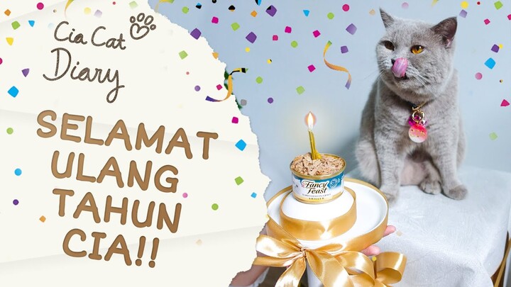 PESTA ULTAHNYA CIA CAT DIARY! FANCY ABIESSS!!! Cara Merayakan Pesta Ulang Tahun Kucing