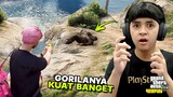 Berburu Gorila di Hutan - GTA 5 Roleplay
