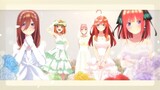 Chúc mừng đám cưới của bộ anime nhà có 5 nàng dâu ( cảnh báo spoil)!