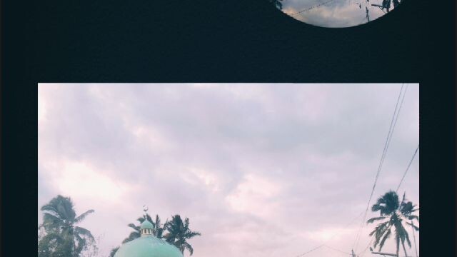 pic lang