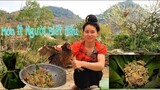 Cách Làm Món Gà Mọ Món Ăn Truyền Thống Của Người Thái/Hoàng Việt Tây Bắc