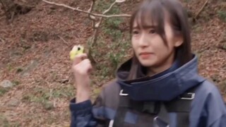Episode 34 sneak peek! Jinghe and his sister transform into new knights! Sparrow transforms again! [