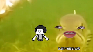 ชาวประมงทำเหยื่ออย่างระมัดระวัง