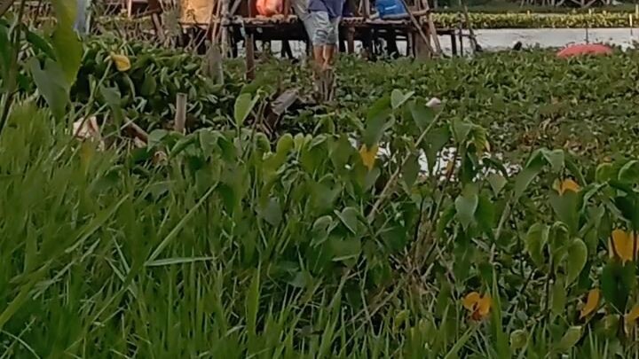 mancing ngabisin kopi sama gorengan