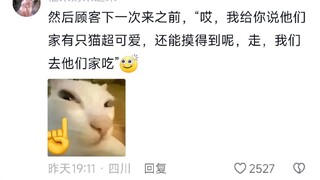 这喷不了，这是真招财猫，小脚往那儿一站就是自动揽客